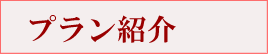 プラン紹介