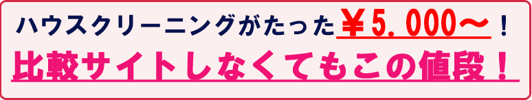 ハウスクリーニングがたった五千円